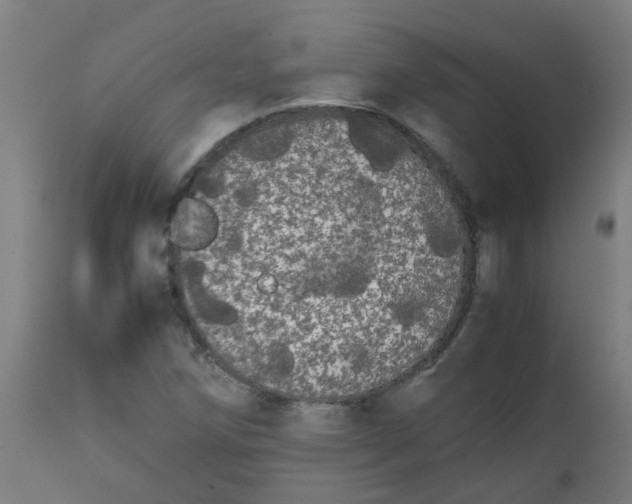 X0000113851258200910221411