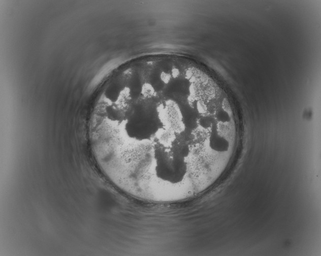 X0000113851259200910221411