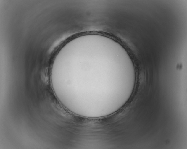 X0000113851262200910221411