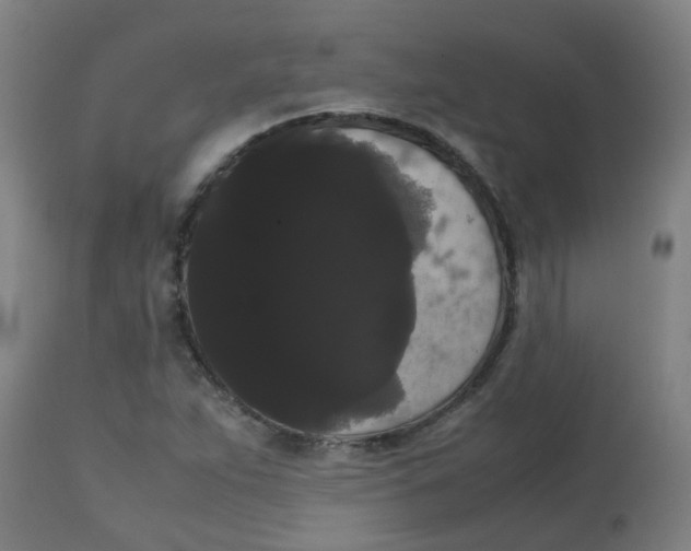 X0000113851263200910221411