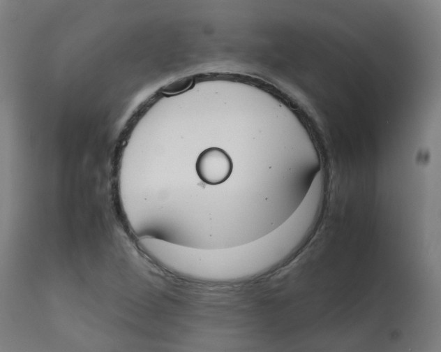 X0000113851264200910221411