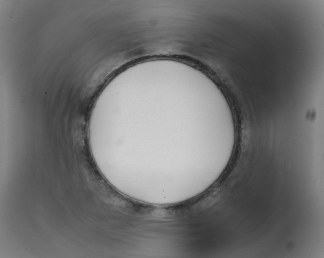 X0000113851265200910221411