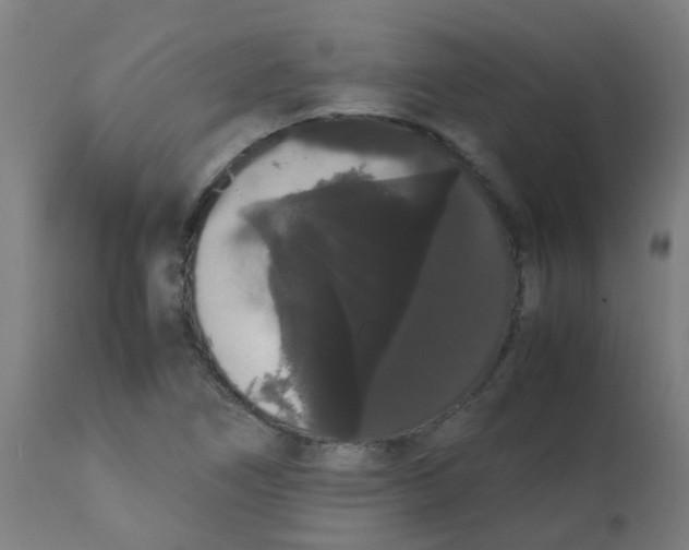 X0000113851266200910221411