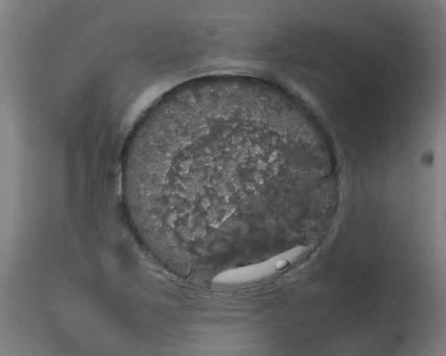 X0000113851267200910221411