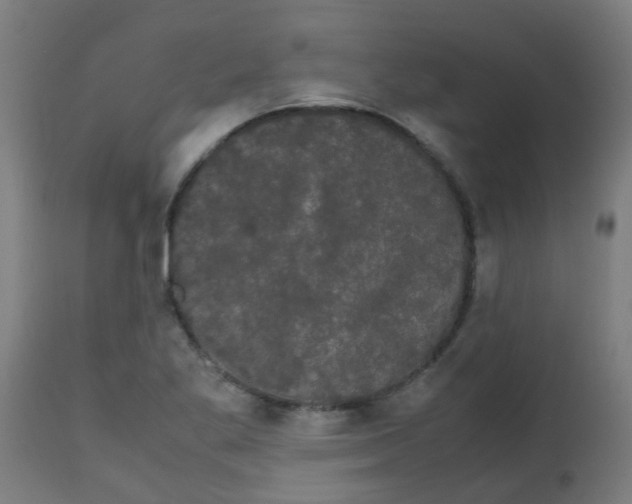 X0000113851269200910221411