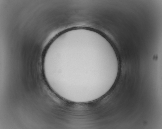 X0000113851270200910221411