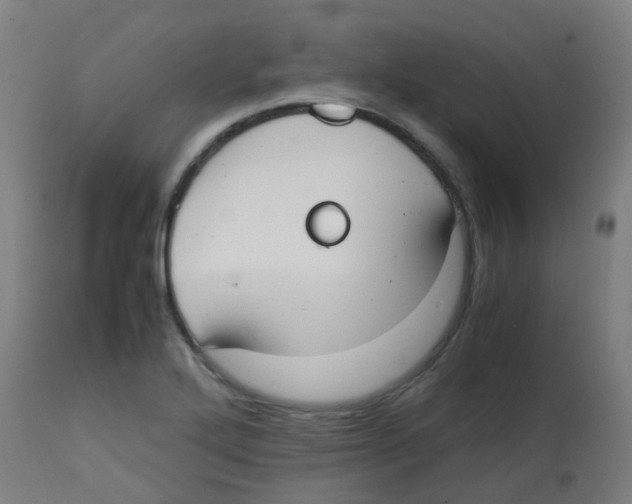 X0000113851272200910221411