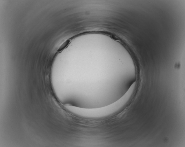 X0000113851273200910221411