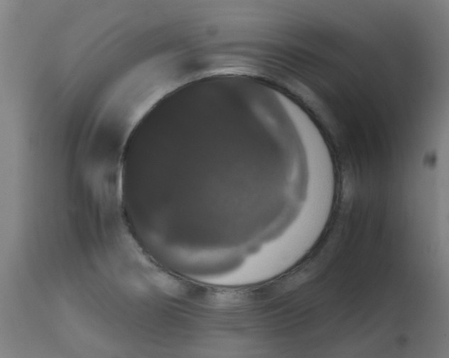 X0000113851274200910221411