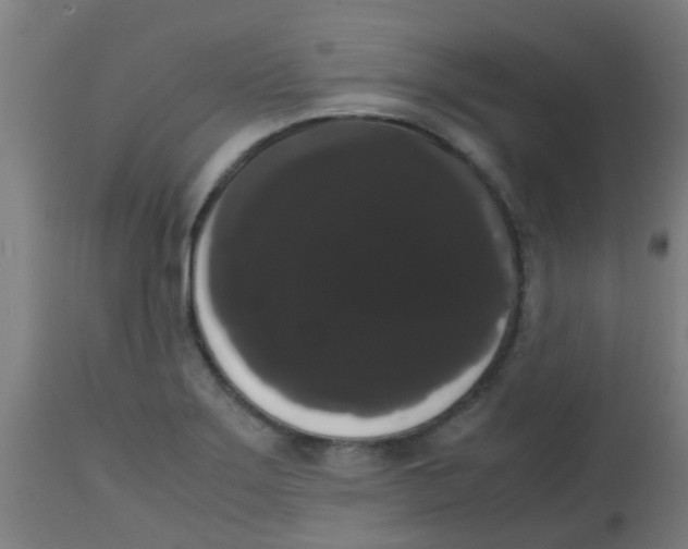 X0000113851275200910221411