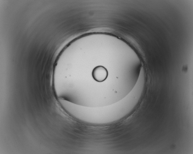 X0000113851276200910221411