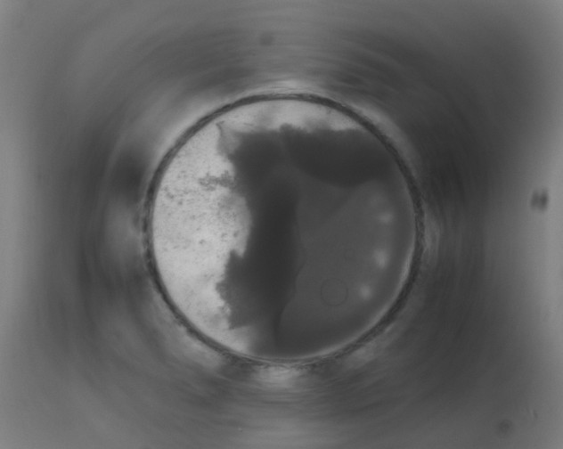 X0000113851278200910221411