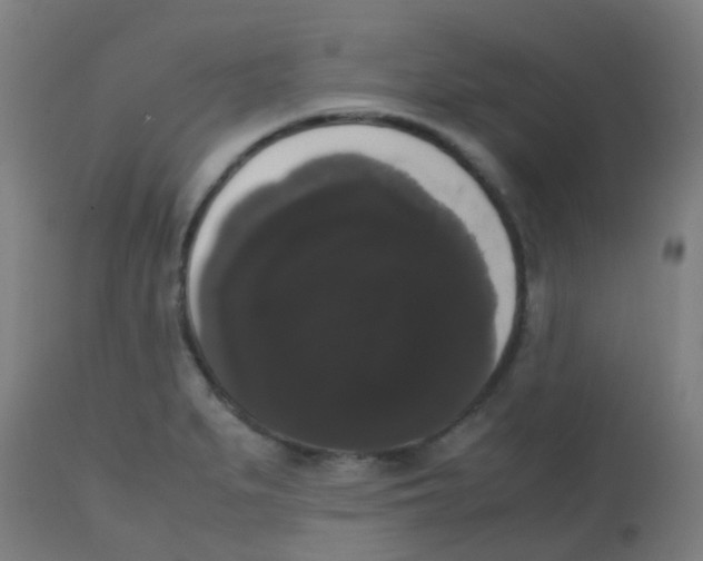 X0000113851279200910221411