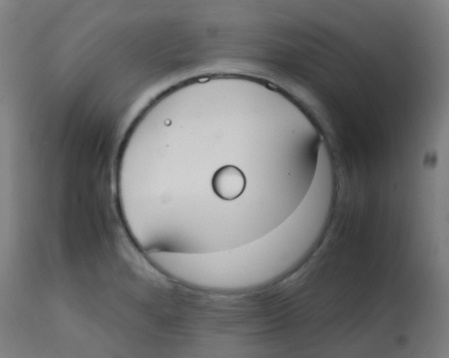 X0000113851280200910221411