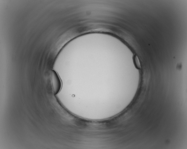 X0000113851281200910221411