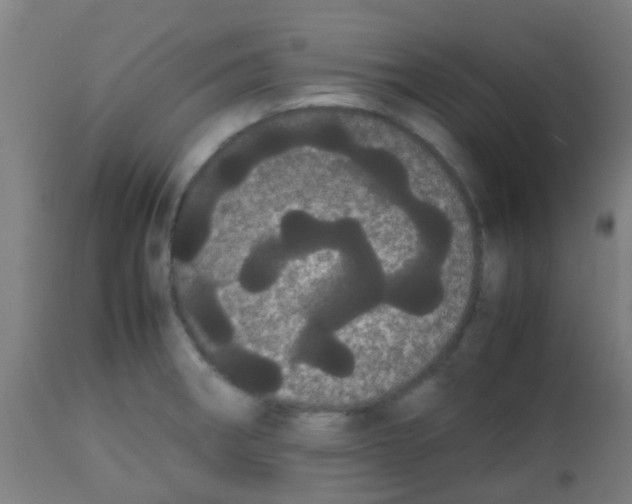 X0000113851282200910221411