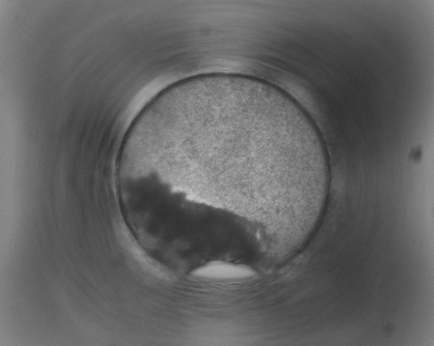 X0000113851283200910221411