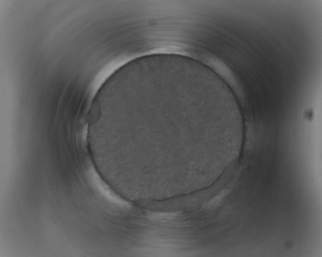 X0000113851284200910221411