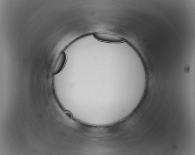 X0000113851285200910221411