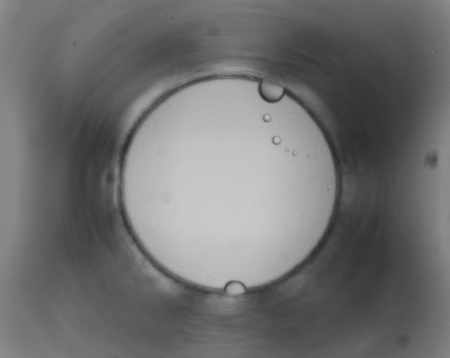 X0000113851286200910221411