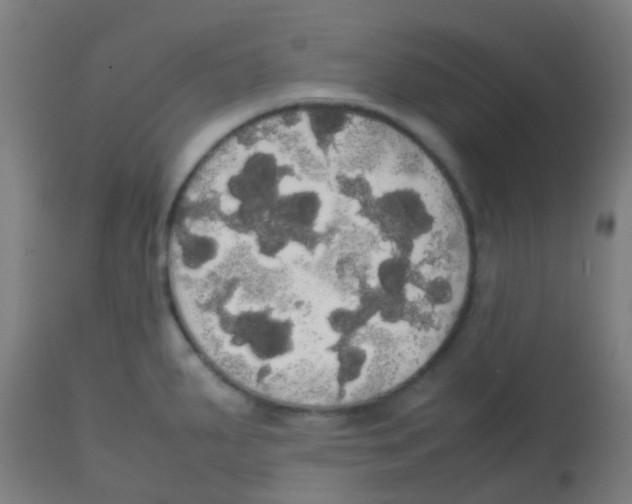 X0000113851287200910221411