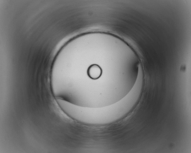 X0000113851288200910221411