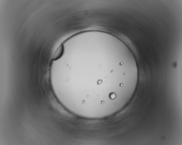 X0000113851292200910221410