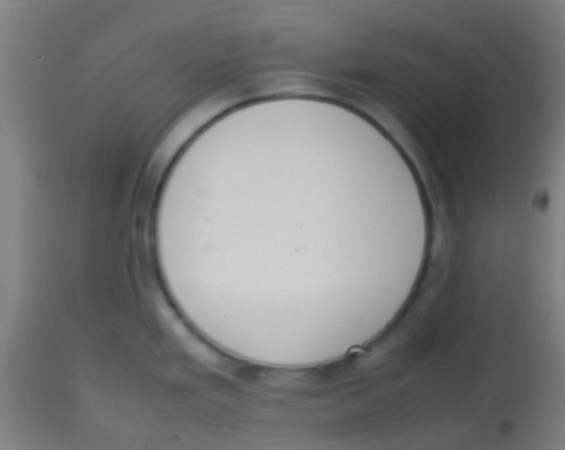 X0000113851293200910221410