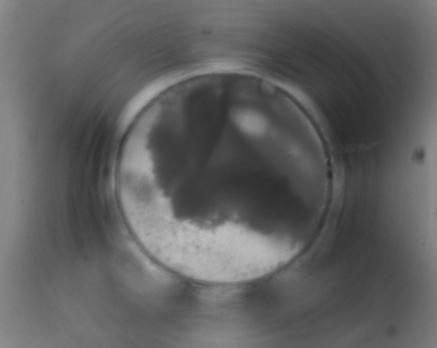 X0000113851294200910221410