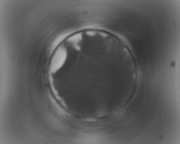 X0000113851295200910221410