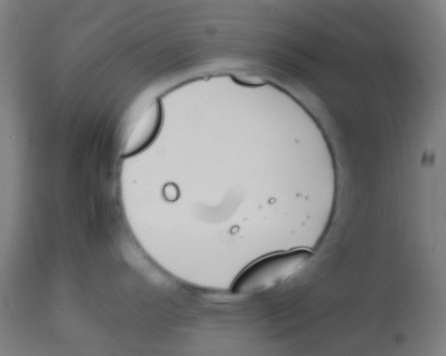 X0000113851296200910221410