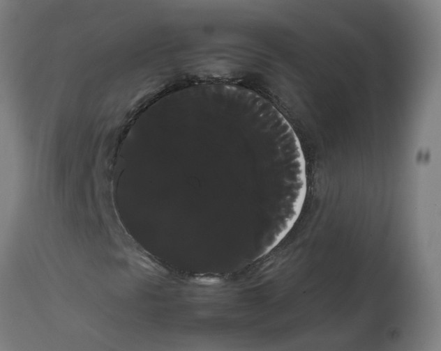 X0000113851297200910221410