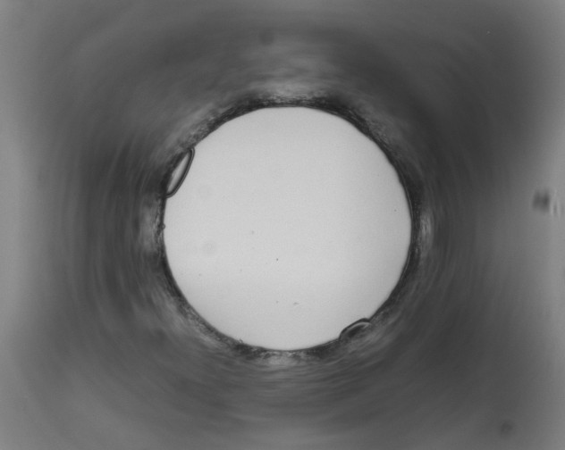 X0000113851300200910221410