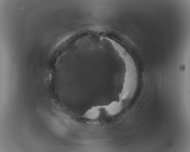 X0000113851302200910221410