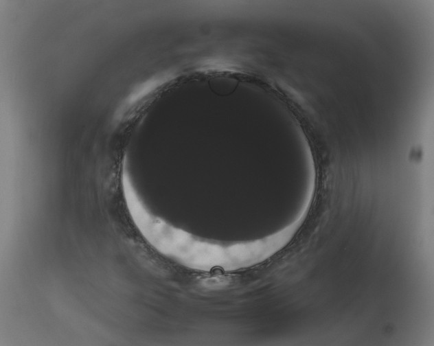 X0000113851303200910221410