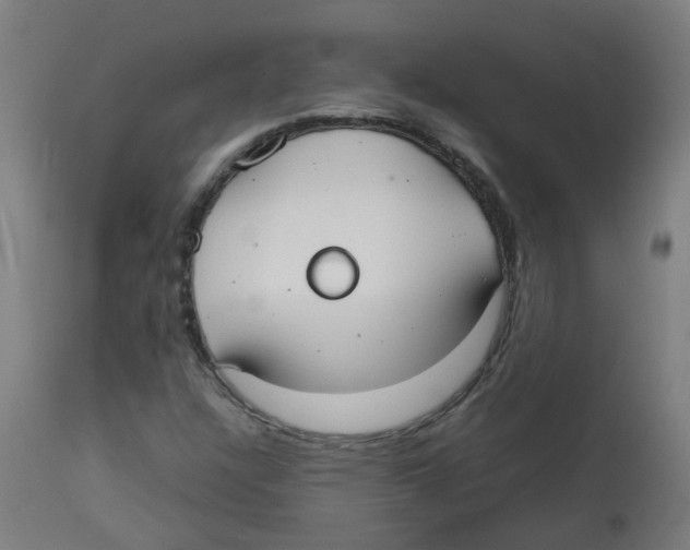 X0000113851304200910221410