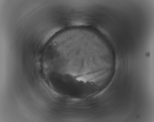 X0000113851305200910221410