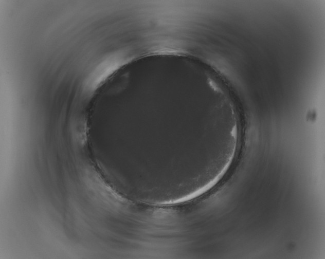 X0000113851306200910221410