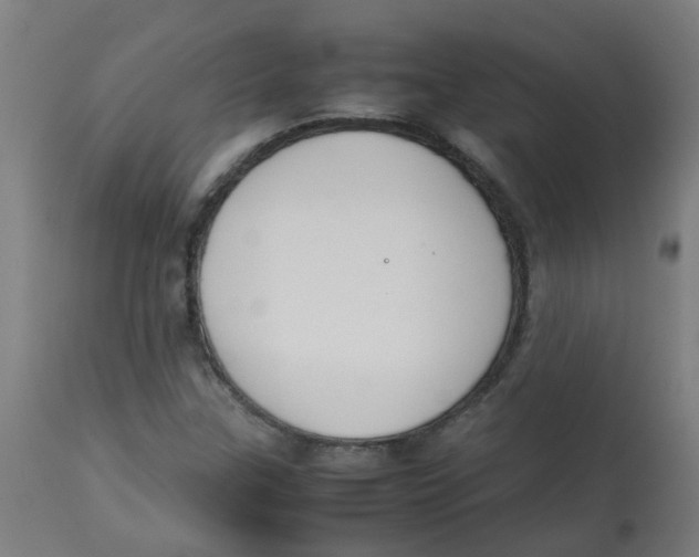 X0000113851307200910221410