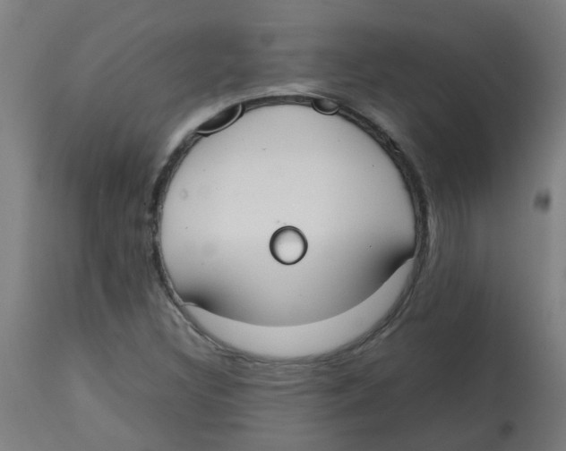 X0000113851308200910221410