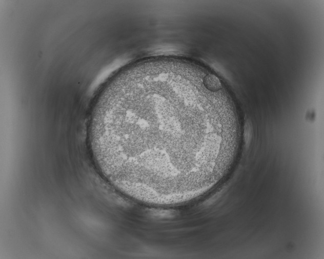 X0000113851309200910221410