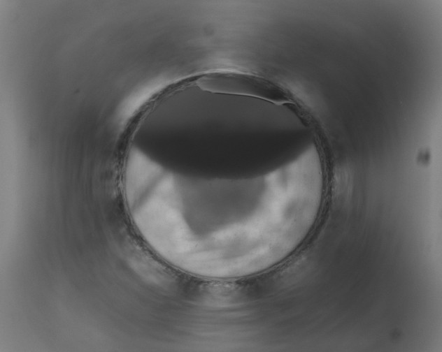 X0000113851310200910221410