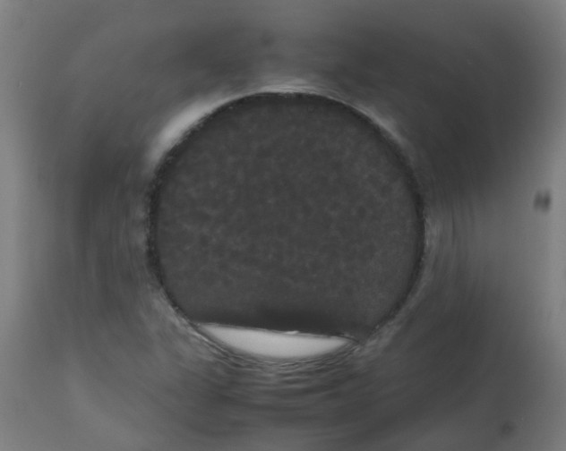 X0000113851311200910221410