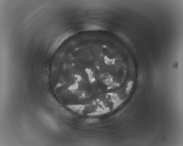 X0000113851313200910221410