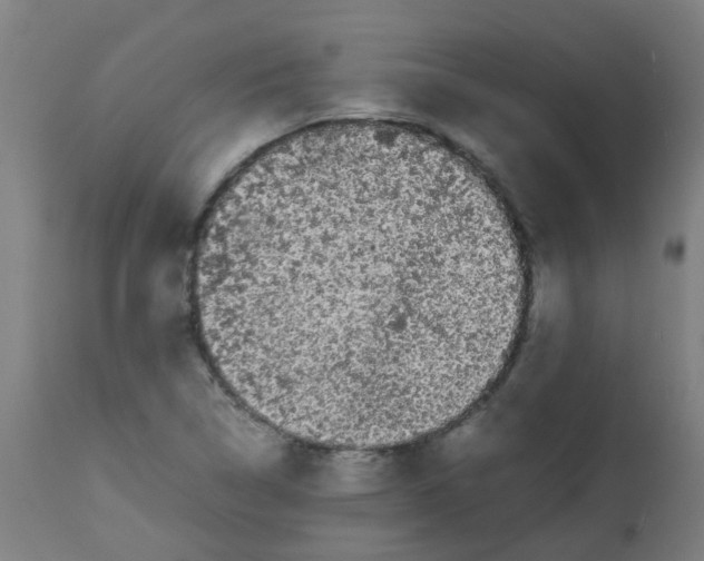 X0000113851314200910221410