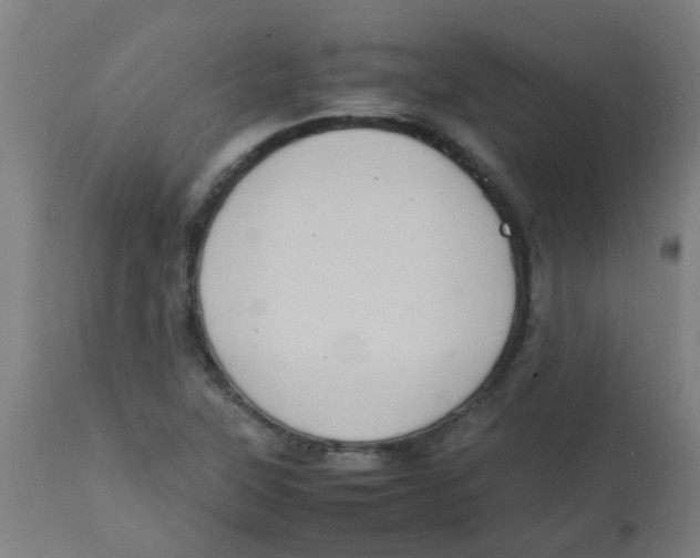 X0000113851315200910221410