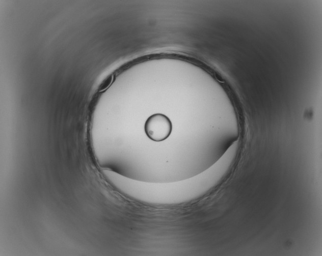 X0000113851316200910221410