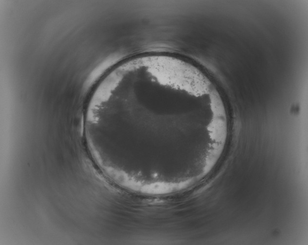 X0000113851317200910221410