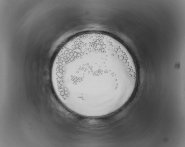 X0000113851318200910221410