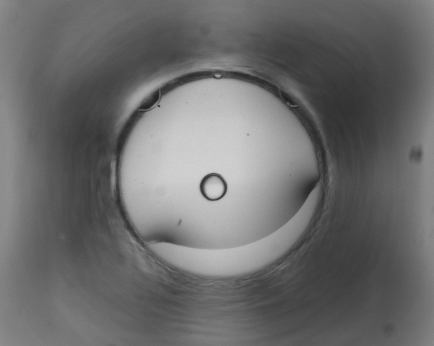 X0000113851320200910221410